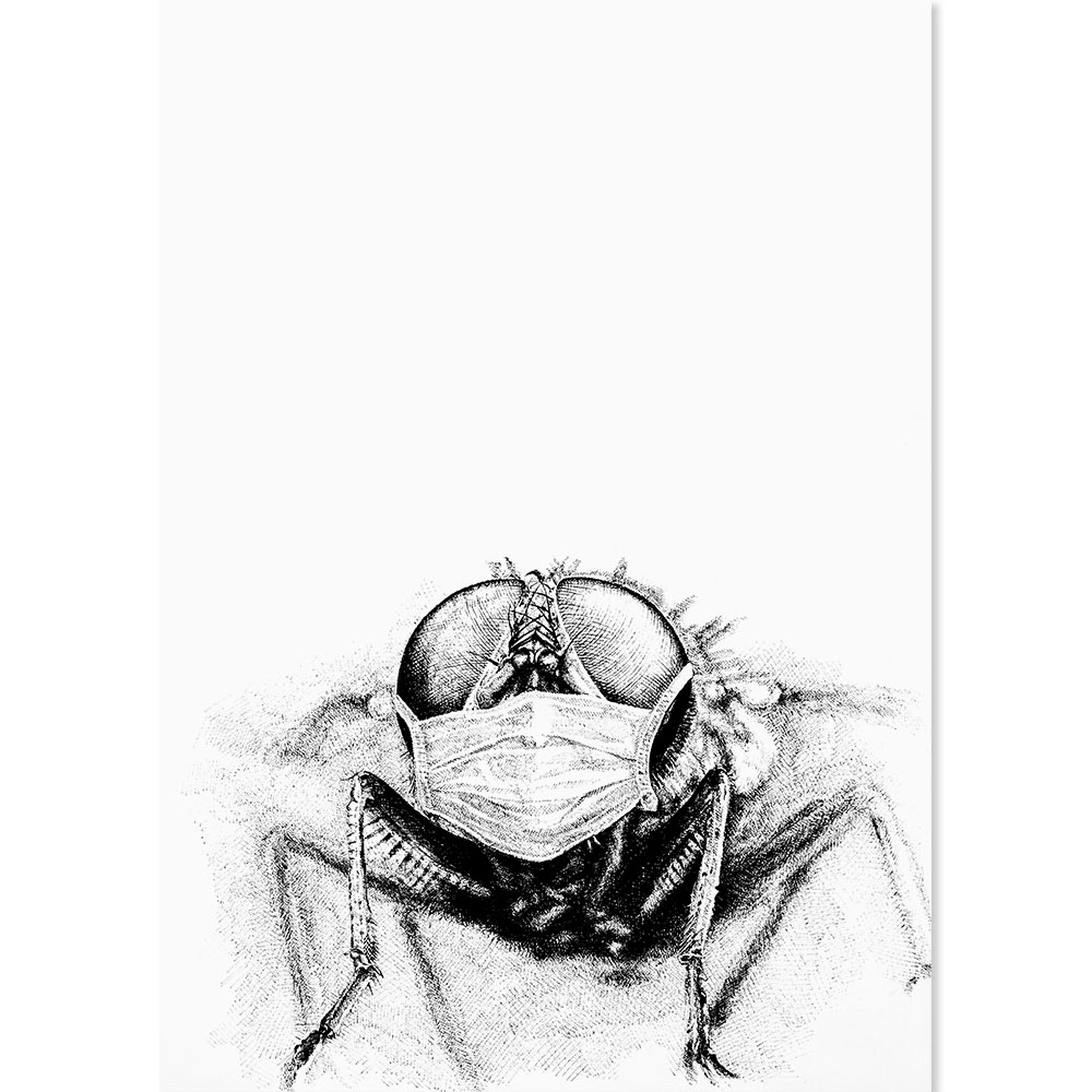 Paranoid Fly